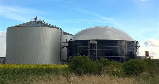 Les véhicules au BioGNV sont les plus écologiques