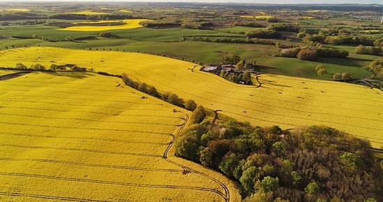 L'huile végétale hydrogénée (HVO) pour remplacer le diesel