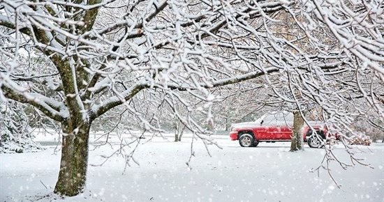 Une belle histoire de Noël…