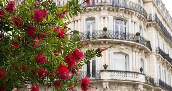 Toulouse met en place une ZFE à partir de mars 2022