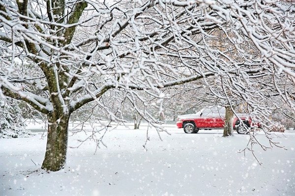 Transport bloqué dans la neige